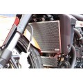 AELLA Radiator Guard for Triumph Speed Triple 1050 AELLA Radiator Guard for Triumph Speed Triple 1050