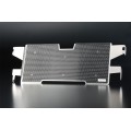 AELLA Radiator Guard for BMW R1200R / R1200RS AELLA Radiator Guard for BMW R1200R / R1200RS
