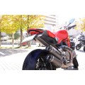 AELLA Short Number Plate Holder for the Ducati Monster 821 / 1200