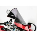 AELLA Carbon Fiber Trim Racing Windscreen For the Ducati Panigale V4 R (19-24) and V4 / S / SP (20-24) AELLA Carbon Fiber Trim Racing Windscreen For the Ducati Panigale V4 R (19-24) and V4 / S / SP (20-24)