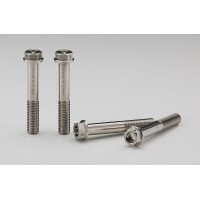 AELLA Titanium Caliper Bolts for BMW Models (M10x65, 1.5 pitch) AELLA Titanium Caliper Bolts for BMW Models (M10x65, 1.5 pitch)