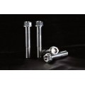 AELLA Titanium Caliper Mount Bolts M10L35 x 1.25 Pitch AELLA Titanium Caliper Mount Bolts M10L35 x 1.25 Pitch