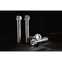AELLA Titanium Caliper Bolts for Triumph Tiger 800 AELLA Titanium Caliper Bolts for Triumph Tiger 800