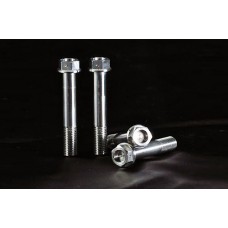 AELLA Titanium Caliper Bolts for Triumph Tiger 800