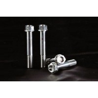 AELLA Titanium Caliper Bolts for Triumph Daytona 675 / Tiger 1050 AELLA Titanium Caliper Bolts for Triumph Daytona 675 / Tiger 1050