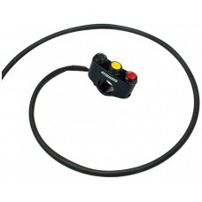 Accossato 2-key Plug and Play Button Panels, Left Version for Ducati 1199 Panigale