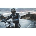 BarkBusters CARBON FIBER Handguards BarkBusters CARBON FIBER Handguards