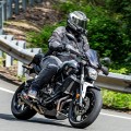 BarkBusters CARBON FIBER Handguards BarkBusters CARBON FIBER Handguards