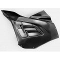 CARBONIN CARBON FIBER RACE BODYWORK FOR BMW S1000RR (2020+) CARBONIN CARBON FIBER RACE BODYWORK FOR BMW S1000RR (2020+)
