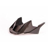 CARBONIN CARBON FIBER REAR FENDER (MUDGUARD) FOR HONDA CBR1000RR-R / SP (2020+)