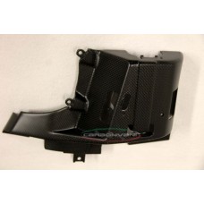 CARBONVANI - DUCATI 2017+ MONSTER 821 / 1200 CARBON FIBER CANISTER COVER