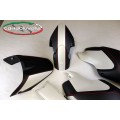 CARBONVANI - DUCATI MONSTER M1100 / M796 / M696 CARBON FIBER DEVIS BODY KIT