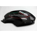 CARBONVANI - DUCATI MONSTER M1100 / M796 / M696 CARBON FIBER RH FUEL TANK SIDE PANEL WITH FRAME AND MESH CARBONVANI - DUCATI MONSTER M1100 / M796 / M696 CARBON FIBER RH FUEL TANK SIDE PANEL WITH FRAME AND MESH