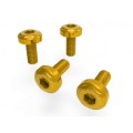 DBK Special Parts (Ducabike) OE Silencer Heat Shield Bolt Kit for the Ducati DesertX
