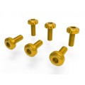 DBK Special Parts (Ducabike) Radiator Frame Screw Kit for the Ducati Streetfighter V2 DBK Special Parts (Ducabike) Radiator Frame Screw Kit for the Ducati Streetfighter V2