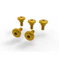 DBK Special Parts (Ducabike) Side Cover Bolt Kit for the Ducati Monster 937