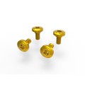 DBK Special Parts (Ducabike) Front Fender Bolt Kit for the Ducati Monster 937 DBK Special Parts (Ducabike) Front Fender Bolt Kit for the Ducati Monster 937