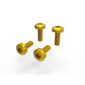 DBK Special Parts (Ducabike) Undertail Screw Kit for the Ducati Monster 937 and Streetfighter V4 /V2 DBK Special Parts (Ducabike) Undertail Screw Kit for the Ducati Monster 937 and Streetfighter V4 /V2