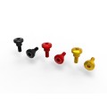 DBK Special Parts (Ducabike) Rear Tail Side Bolt Kit for the Ducati Monster 937