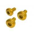 DBK Special Parts (Ducabike) Rear Cable Cover Screw Kit for the Ducati Streetfighter V2