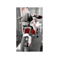 DBK Special Parts (Ducabike) Aluminum Radiator Guard for the Ducati DesertX DBK Special Parts (Ducabike) Aluminum Radiator Guard for the Ducati DesertX
