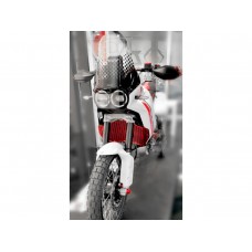 DBK Special Parts (Ducabike) Aluminum Radiator Guard for the Ducati DesertX