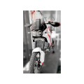 DBK Special Parts (Ducabike) Aluminum Radiator Guard for the Ducati DesertX DBK Special Parts (Ducabike) Aluminum Radiator Guard for the Ducati DesertX