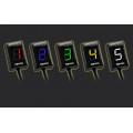 Healtech GIpro X-type G2 - Gear Position Indicator Healtech GIpro X-type G2 - Gear Position Indicator