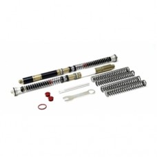 K-Tech Suspension 20DDS Fork Cartridge Kit for the Ducati 1199/1299 Panigale '12-17/V4 Panigale '18