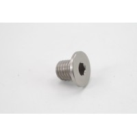 KBike Titanium Screw for Tension Pulley for Ducati Testastretta Engines - 77911871A