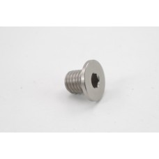 KBike Titanium Screw for Tension Pulley for Ducati Testastretta Engines - 77911871A