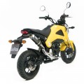 Leo Vince GP Corsa Carbon Fiber | Slip-On Exhaust For Honda GROM (MSX125) 2013-2015 Leo Vince GP Corsa Carbon Fiber | Slip-On Exhaust For Honda GROM (MSX125) 2013-2015
