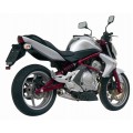 MIVV Slip-on, X-cone Stainless Steel, Standard Exhaust For Kawasaki ER-6N / F 05-11, Versys 650 06-14 MIVV Slip-on, X-cone Stainless Steel, Standard Exhaust For Kawasaki ER-6N / F 05-11, Versys 650 06-14