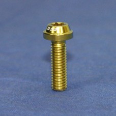 Proti Forged Titanium Number Plate Bolt Kit - With Round Washers and Lock nuts