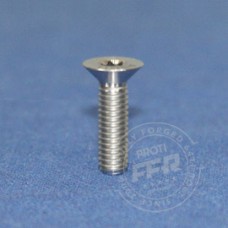 Proti M4 Universal Bolt M4L17-OTB01