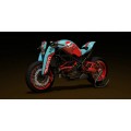 Paolo Tex Design MS4R Bodykits for Ducati Monster's (02-08)