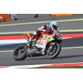 Termignoni High Mount Dual Muffler 2-1-2 'FORCE' Full Exhaust for DUCATI 1199 / 1299 PANIGALE Termignoni High Mount Dual Muffler 2-1-2 'FORCE' Full Exhaust for DUCATI 1199 / 1299 PANIGALE