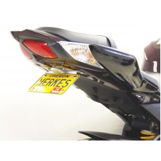 Competition Werkes Standard Fender Eliminator Kit - Suzuki GSX-R1000 (09-16) Competition Werkes Standard Fender Eliminator Kit - Suzuki GSX-R1000 (09-16)