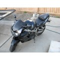 LUIMOTO (Flame) Passenger Seat Covers for the HONDA CBR900RR (92-99) LUIMOTO (Flame) Passenger Seat Covers for the HONDA CBR900RR (92-99)