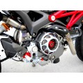 ZARD Exhaust for Ducati Monster 696 / 796 / 1100 (Penta)