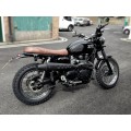 ZARD High Mount Cone style Exhaust for Triumph Scrambler