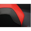 LUIMOTO Team Italia/ Diamond Edition Passenger Seat Cover for the DUCATI PANIGALE 1199/899 LUIMOTO Team Italia/ Diamond Edition Passenger Seat Cover for the DUCATI PANIGALE 1199/899