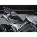 LUIMOTO (Sport) Passenger Seat Cover for the KAWASAKI Z1000 (2014+) LUIMOTO (Sport) Passenger Seat Cover for the KAWASAKI Z1000 (2014+)