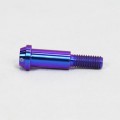 Proti M6 Universal Bolt M6L31-OTB01