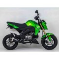 Hindle EVO Megaphone system for Kawasaki's Z125 Pro