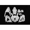 CARBONIN AVIO FIBER RACE BODYWORK FOR BMW S1000RR (2010-2014) CARBONIN AVIO FIBER RACE BODYWORK FOR BMW S1000RR (2010-2014)