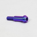 Proti M6 Universal Bolt M6L29-OTB01 Proti M6 Universal Bolt M6L29-OTB01