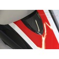 CARBONVANI - DUCATI MONSTER M1100 / M796 / M696 CARBON FIBER CORSE TAIL (PILLION SEAT COVER) CARBONVANI - DUCATI MONSTER M1100 / M796 / M696 CARBON FIBER CORSE TAIL (PILLION SEAT COVER)