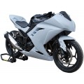 Armour Bodies Pro Series Bodywork for Kawasaki Ninja 300 Armour Bodies Pro Series Bodywork for Kawasaki Ninja 300
