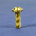 Proti Front Disc R/L Bolt Kit for the Yamaha T-Max 530 (2012-2014) Proti Front Disc R/L Bolt Kit for the Yamaha T-Max 530 (2012-2014)